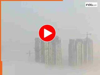 Delhi-NCR Pollution Video: धुएं की चादर में लिपटा पूरा इलाका, लोग बोले- ऐसा नजारा पहले कभी नहीं देखा | देखें वायरल वीडियो