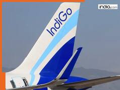 Delhi's IGI airport issues advisory as dense fog disrupts services; Indigo cancels 11 flights, asks passengers to...