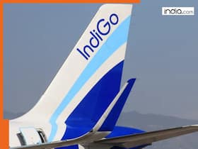 india.com top news