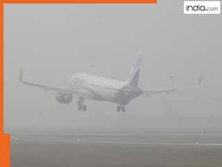 दिल्ली एयरपोर्ट पर दोहरी मार! खराब मौसम और प्रदूषण से 500 से ज्यादा फ्लाइट्स लेट, 14 रद्द