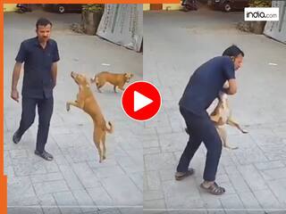 Animal Attack Video: शख्स पर अचानक आफत बनकर टूटा डॉगी, 5 फीट उछलकर कंधे पर काट खाया | देखें वीडियो