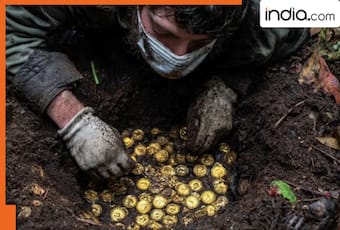 india.com top news