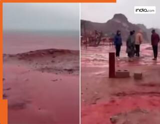 Viral Video: खून की तरह लाल हुआ ये समुद्री किनारा, वायरल वीडियो देख इलाके में मचा हड़कंप | देखें वीडियो