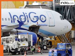 IndiGo Flight Crisis: इंडिगो से परेशान यात्री, एविएशन मिनिस्टर बोले- ऐसा एक्शन लेंगे की दूसरी एयरलाइंस...