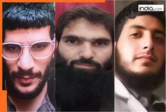 Separatist posters, banned literature recovered in Kashmir's Pulwama; is it linked to Delhi blast case? Police say seized items are...