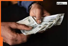india.com top news