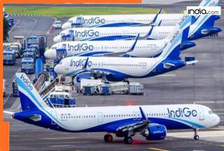 Indigo Airline fiasco report submitted to DGCA; Action after complete scrutiny