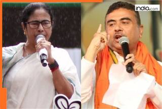 Bengal SIR: EC data on voter deletions reveals SHOCKING details, highest number of voters deleted in..., CM Mamata's constituency records...