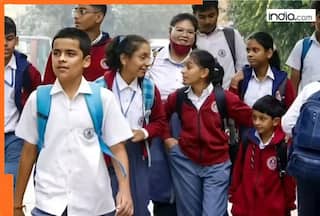 Will schools be closed in Delhi, Noida, Ghaziabad, other NCR districts on Monday due to GRAP-4 curbs? All you need to know