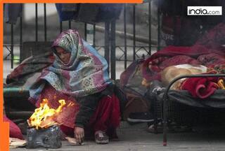 Fresh snowfall, below normal temperatures and light rain: Check latest weather update from Delhi, Punjab, Haryana and South India