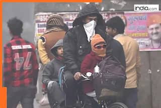 'Damage has already...': Doctors flag air pollution as India's biggest public health crisis since Covid, say it will continue to...