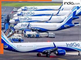 india.com top news