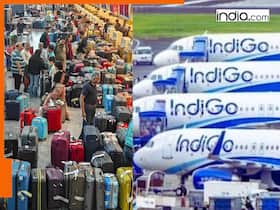 india.com top news
