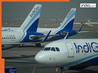 As IndiGo cancelled hundreds of flights, Luthra brothers escaped to Thailand - Was the International network still running?