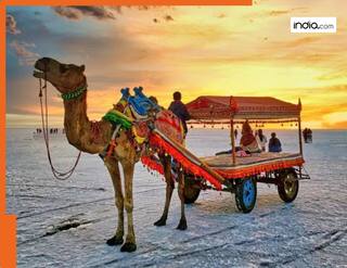 पहली बार कच्छ जा रहे हैं? रण उत्सव के अलावा इन 5 ऑफबीट डेस्टिनेशन को बिल्कुल न करें मिस, नहीं तो आपकी ट्रिप रह जाएगी अधूरी!
