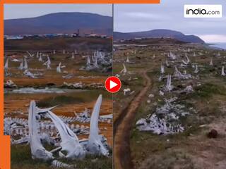 रूस में मिली दैत्यों की खोई हुई नगरी! चारों ओर बिखरी विशाल रहस्यमयी हड्डियां, Viral Video देंख रोंगटे खड़े हो जाएंगे...