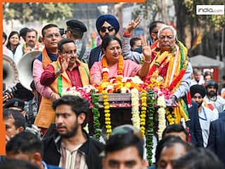 MCD Bypolls 2025: दिल्ली एमसीडी उपचुनाव के नतीजे घोषित, किस वार्ड में किसने मारी बाजी? देखें पूरी लिस्ट