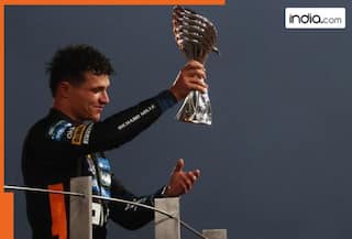 Lando Norris clinches first F1 World Championship in thrilling Abu Dhabi finale