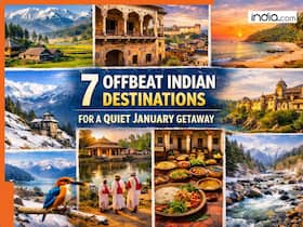 india.com top news