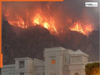 क्यों थरथर कांप रहा था पाकिस्तान? 'आप बंकर में चले जाइये...' राष्ट्रपति जरदारी को दी गई थी सलाह, ऑपरेशन सिंदूर को लेकर कई चौंकाने वाले खुलासे