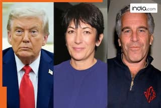 The Epstein Files: New revelations on how many times Trump met Epstein, flown in his private jet