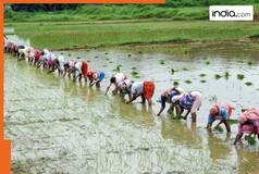 PM Kisan 22nd Installment BIG UPDATE: Modi government likely to release amount on THIS date, Rs 2000 to be credited by...