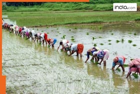 india.com top news