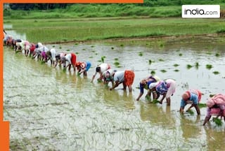 How will India's economy get more powerful with 'G Ram Ji'? All details explained here