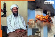 Al-Qaeda founder Osama bin Laden's family shaken by major loss as Saudi govt...
