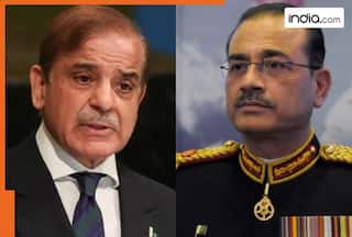 'Babri Masjid was a heritage site that...': Pakistan issues contentious statement