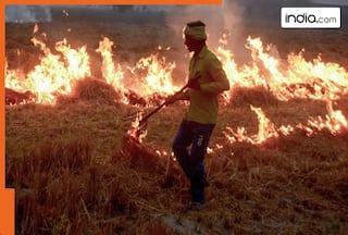 'Stubble was burnt during COVID-19, yet sky was still blue; Easy to blame others': CJI