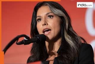 'Islamism is threat to US': Intelligence Director Tulsi Gabbard