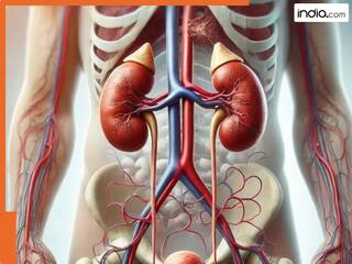 किडनी फेल होने से पहले शरीर देने लगता है ये संकेत! ध्यान ना देने पर हो सकता है बड़ा नुकसान