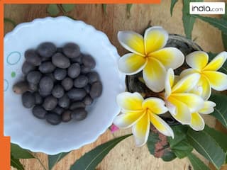 इन लोगों के लिए बेहद फायदेमंद होता है कमलगट्टा! जानें कैसे करना चाहिए डाइट में शामिल?