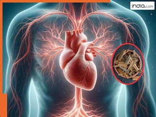 दिल के लिए बड़ा फायदेमंद है इस पेड़ की छाल! जानें सेवन करने का सही तरीका