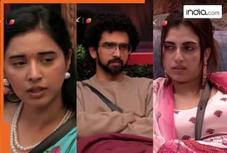 Bigg Boss 19: Not Amaal Mallik, Tanya Mittal, Farrhana Bhatt, ex-housemate Shehbaz Badesha give this contestant the tag of 'mastermind', name is...