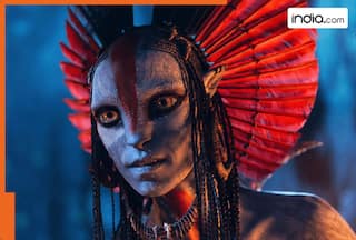 Avatar Fire and Ash box office collection day 1: James Cameron’s visual spectacle opens with low numbers, earns less than Avatar: The Way of Water