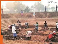 राष्ट्रपति द्रौपदी मुर्मू ने VB-G RAM G बिल को दी मंजूरी, MNREGA Act की लेगा जगह- जानें इसके बारे में सबकुछ