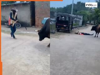 पहले शख्स से खूब पिटा सांड, फिर ऐसा हवा में उड़ाया उठ नहीं पाया दोबारा | देखिए