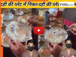 Viral Video: चम्मच से दही निकालने लगा शख्स, मगर निकल गया मरा हुआ चूहा | हिला देगा ये वीडियो