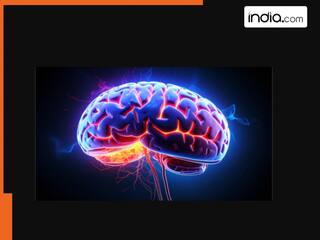 नाम भूलना याददाश्त की कमजोरी नहीं, दिमाग की स्मार्टनेस, आज समझ लें पूरा गणित