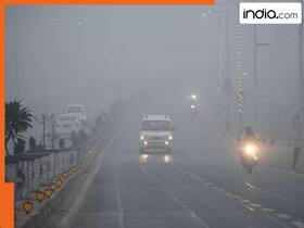 india.com top news