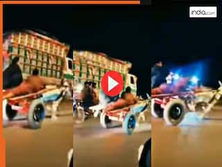 Funny Video Today: गधों की दौड़ में पीछे लेट गया शख्स, फिर हुआ कुछ ऐसा हंसी ना रुकेगी | देखिए