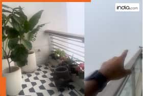 india.com top news
