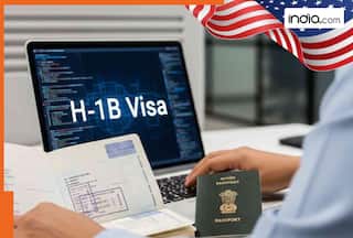 H-1B visa Big Update: India raises issue of visa delays with Trump administration, says 'families facing...'