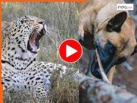 india.com top news