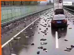 दुनिया का इकलौता शहर, जहां आसमान से बरसती हैं मछलियां, सच्चाई जानकर हिल जाएंगे आप!