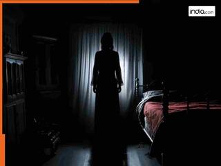 Luteri Dulhan: बेहोश मिले पति-परिवार, आधी रात को दुल्हन फरार, शादी की पहली ही रात हुआ कुछ ऐसा कांड...