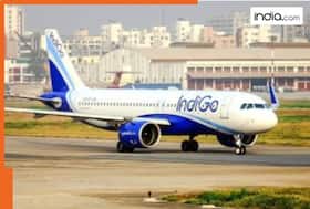 india.com top news