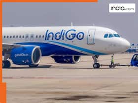 india.com top news